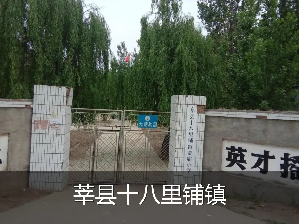 莘县十八里铺镇