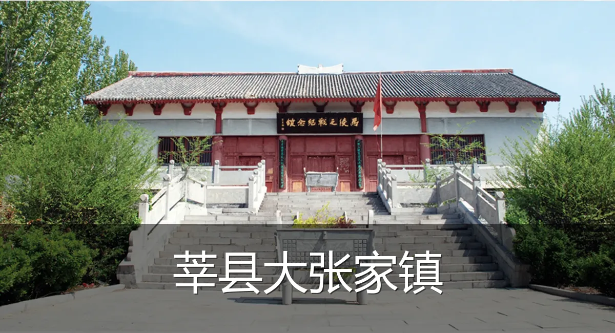 莘县大张家镇