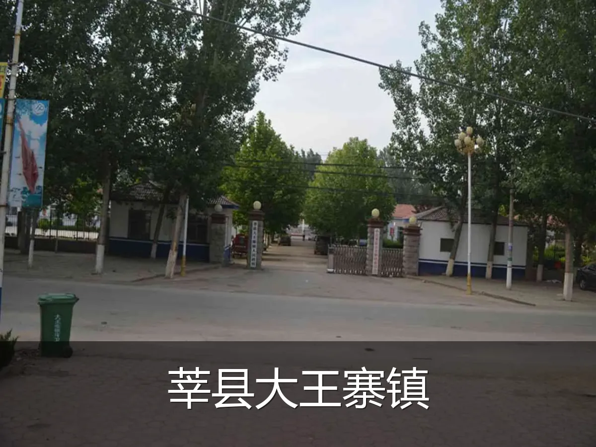 莘县大王寨镇