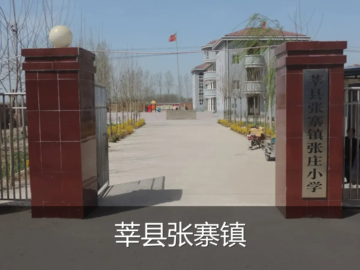 莘县张寨镇