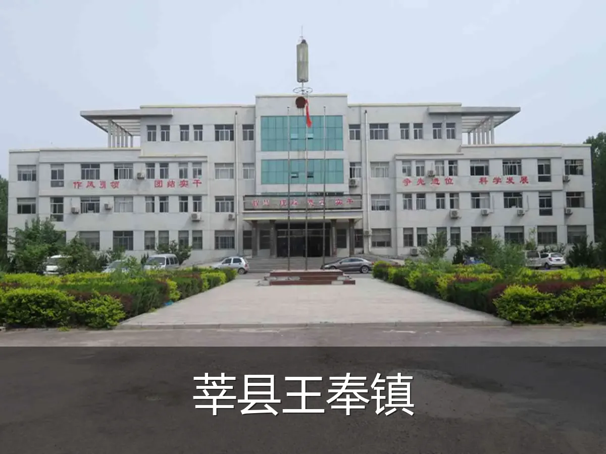莘县王奉镇