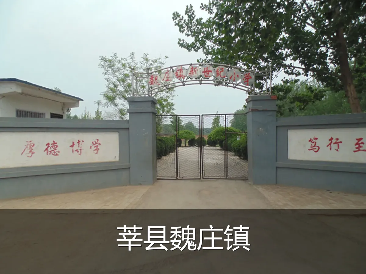 莘县魏庄镇